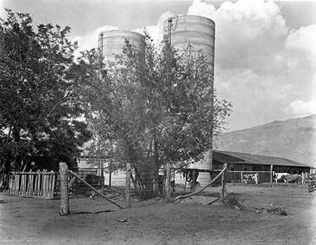 grain silos